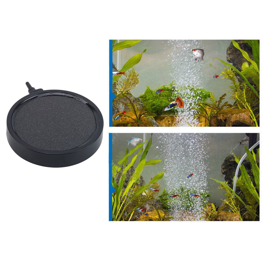 Air Stone for Aquariums Fish Tank Bubble Stone Replacement Disk Oxygen Pan Aquariums… image 5