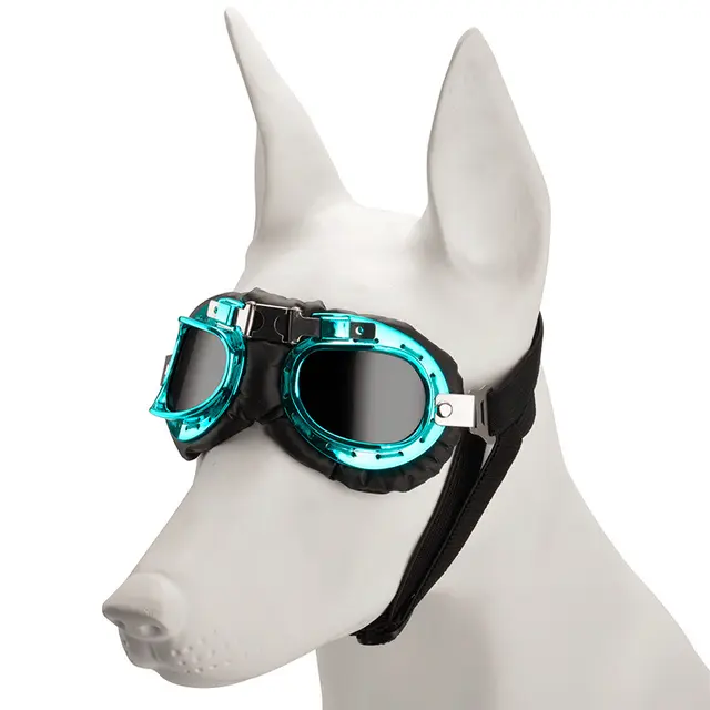 Blue Frame Black Film Retro Pet Goggles - UV Protection Sunglasses for Small Medium…