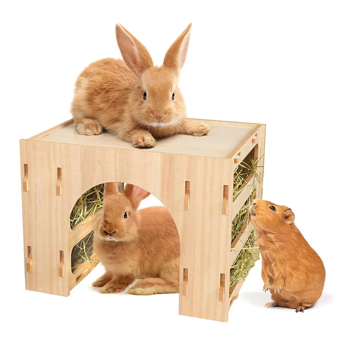 3 in 1 Hay Handmade Pet Feeder Universal Model for Small Animals Easy to Clean image 11
