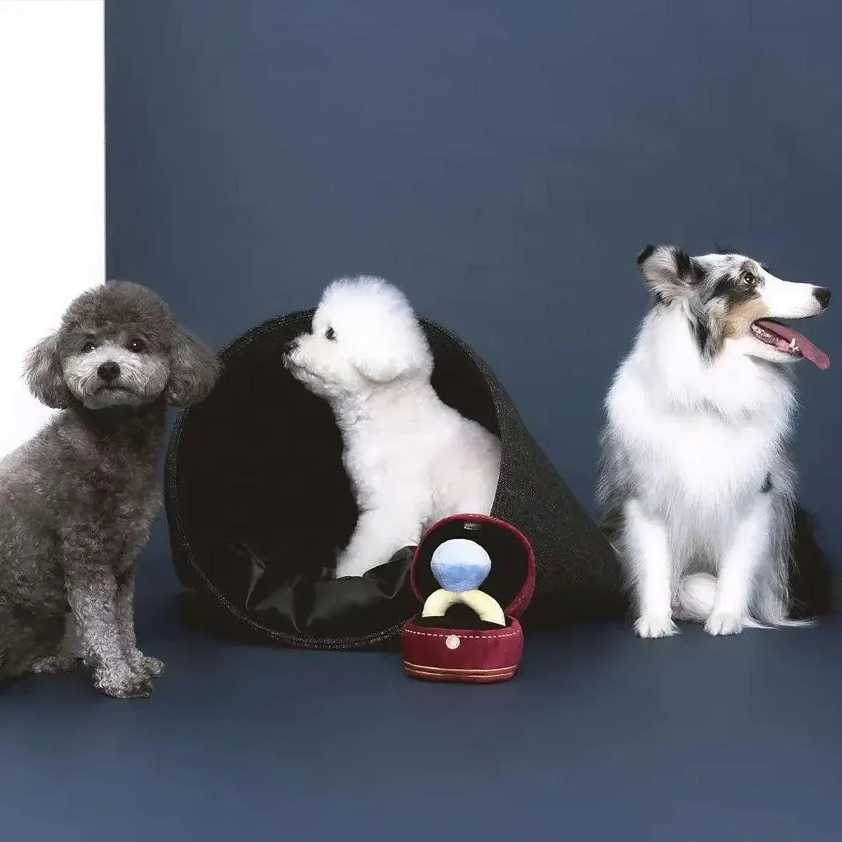 Plush Pet Toy Interactive Ring Box Chew Toy for Dogs and Cats Soft Squeaky Play image 12