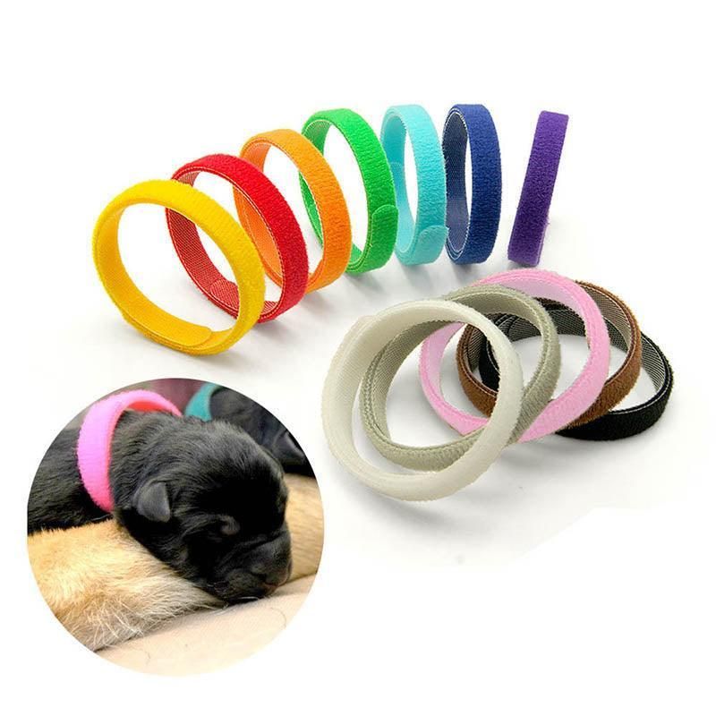 12 Colour Soft ID Collars for Puppies and Kittens Adjustable Pet Identifier Bands image 12