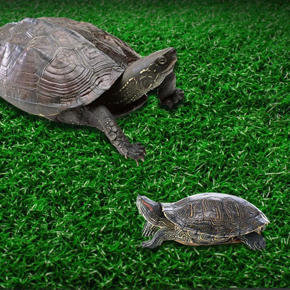 Turtle Basking Platform Simulation Grass Turtle Ramp for Fish Tank Aquarium - S image 4