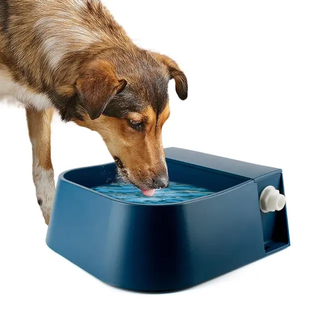 Dog Automatic Water Bowl