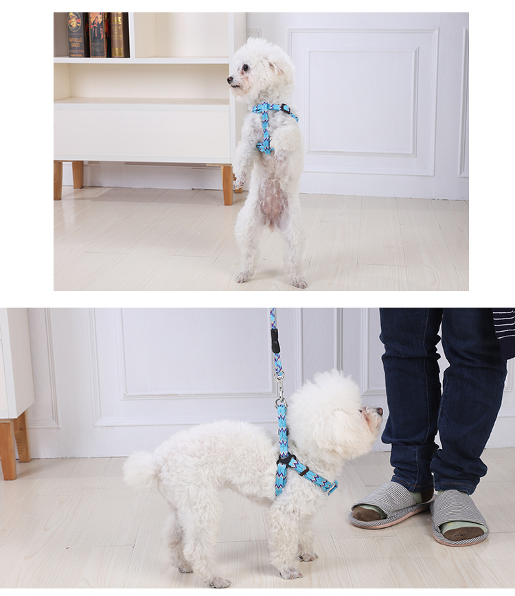 YES4PETS 2 X Medium Pet Dog Cat Puppy Kitten Rabbit Dog Harness Collar leash lead 5… image 7