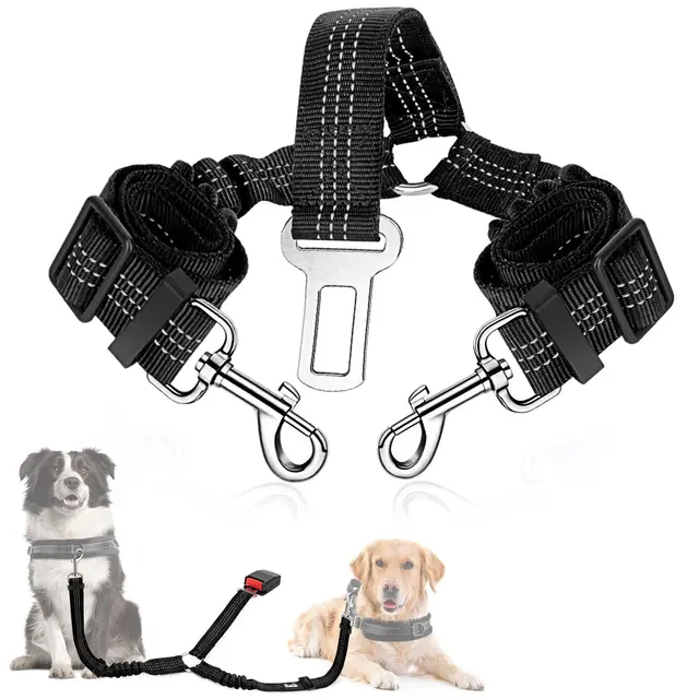 Double Dog Car Seatbelt