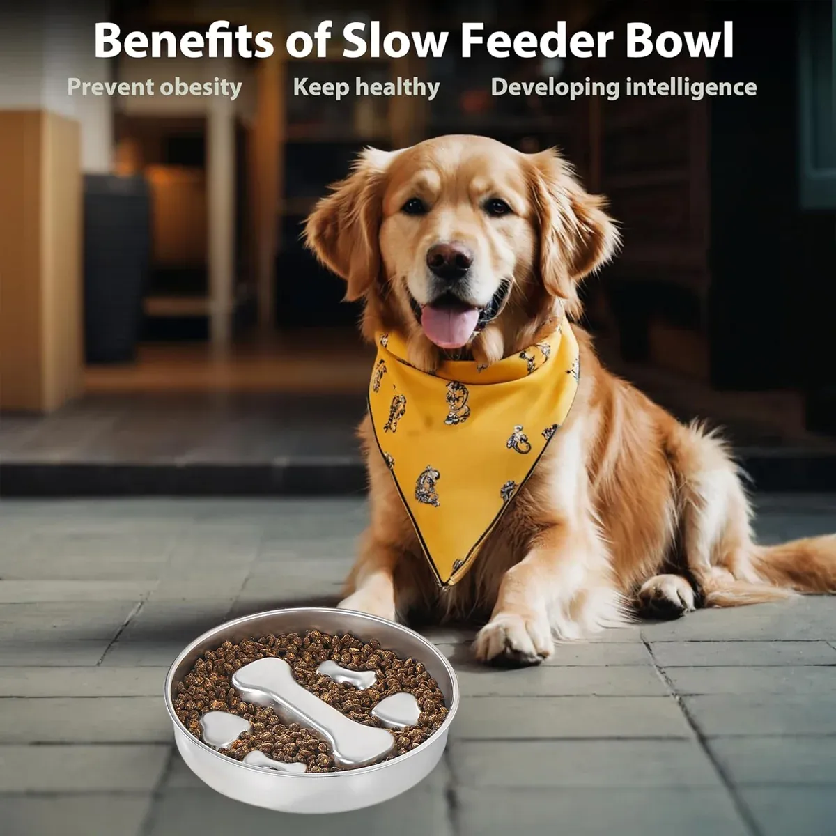Large Capacity Stainless Steel Pet Slow Feeder Bowl Non-Slip Anti-Spill Durable image 8