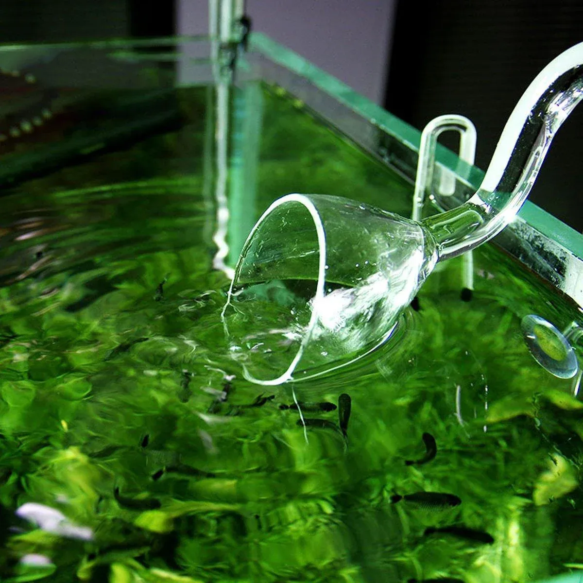 Aquarium Glass Inlet Outlet Pipe Fish Tank Filter Oil Film Remover Plant Holder - Lily… image 12