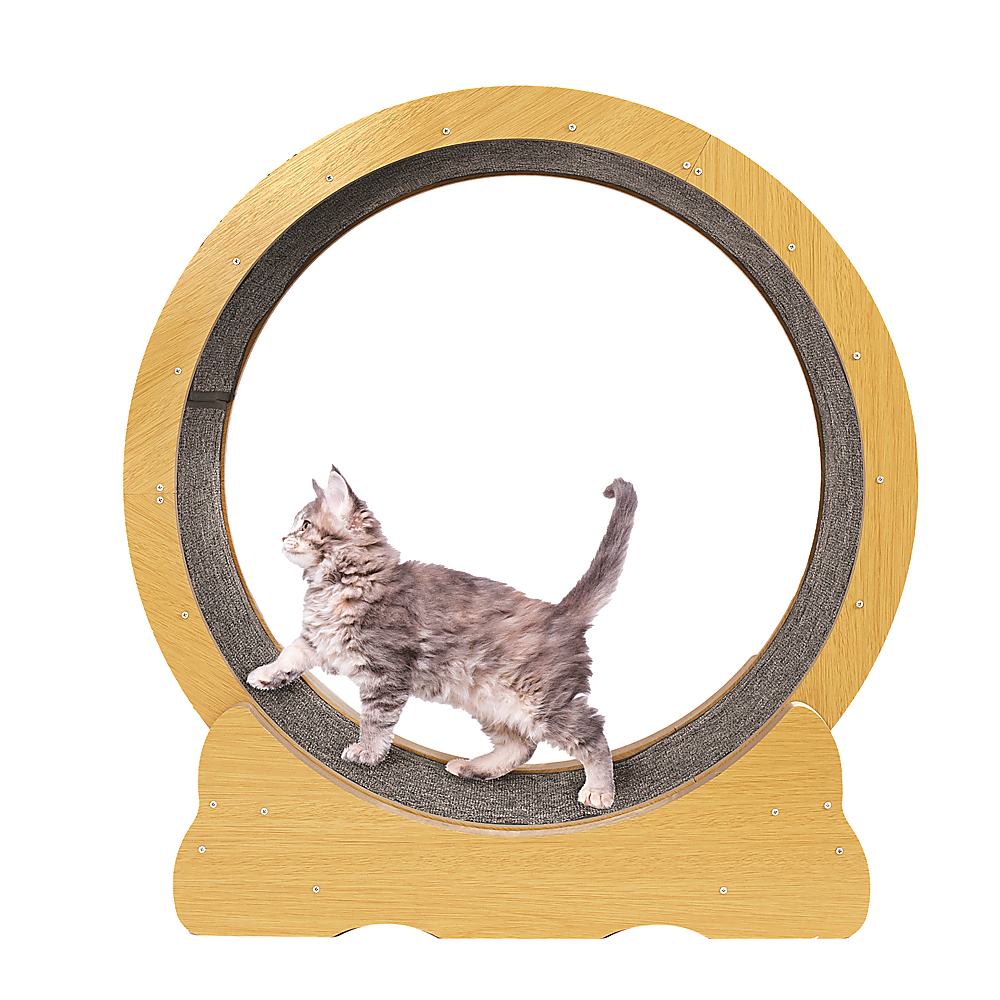 Cat Running Wheel w/ Carpet Runway Cat Exercise Wheel for Fitness Cat Treadmill image 9