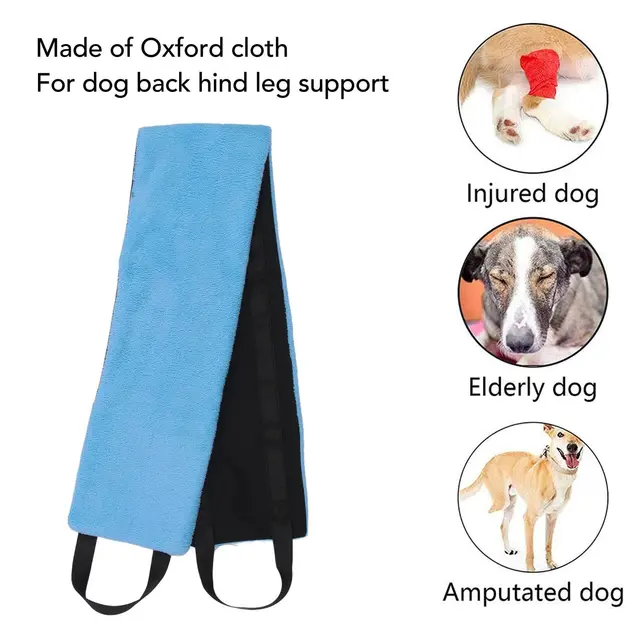 Dog Sling, Blue