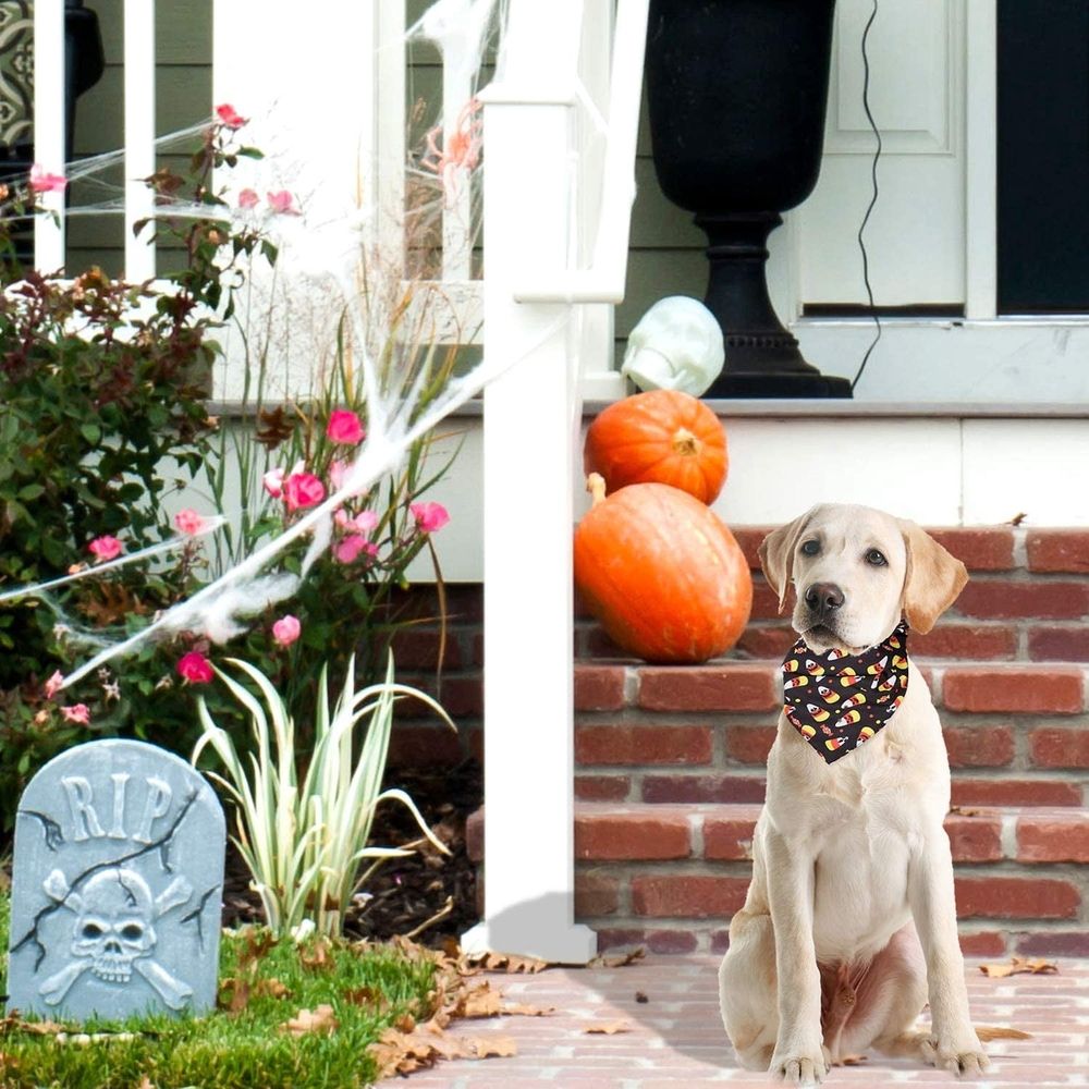 5 Pack Halloween Dog Bandanas, Medium image 5