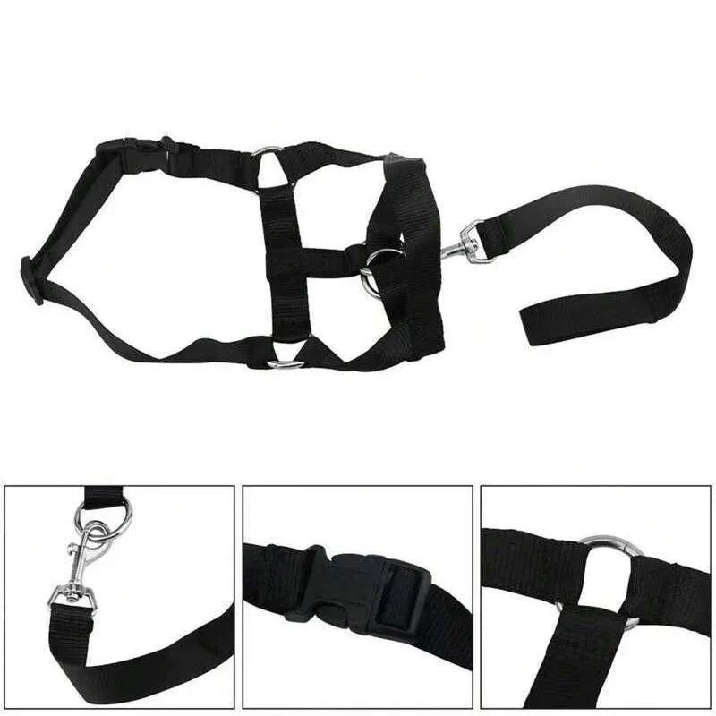 Black Dog Training Head Collar Halter Stop Pulling Training Tool Harness Strap Leader… image 8