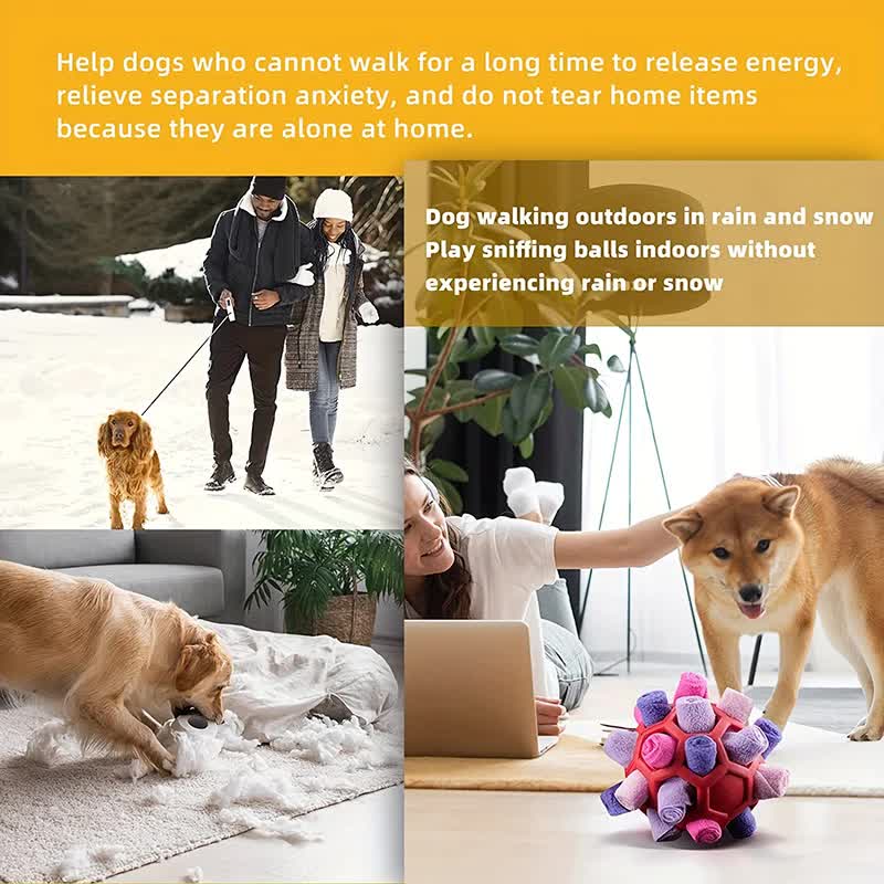 Purple Ball And Colorful Strips Of Fabric Interactive Pet Snuffle Ball… image 7