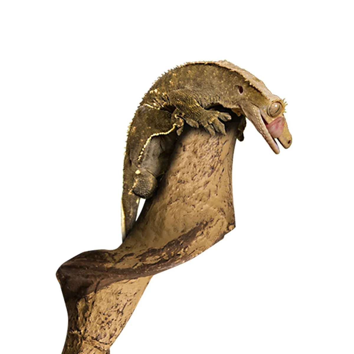 Simulated Vine Plants Reptile Habitat Terrarium Decor for Lizards and Tree Frogs image 12