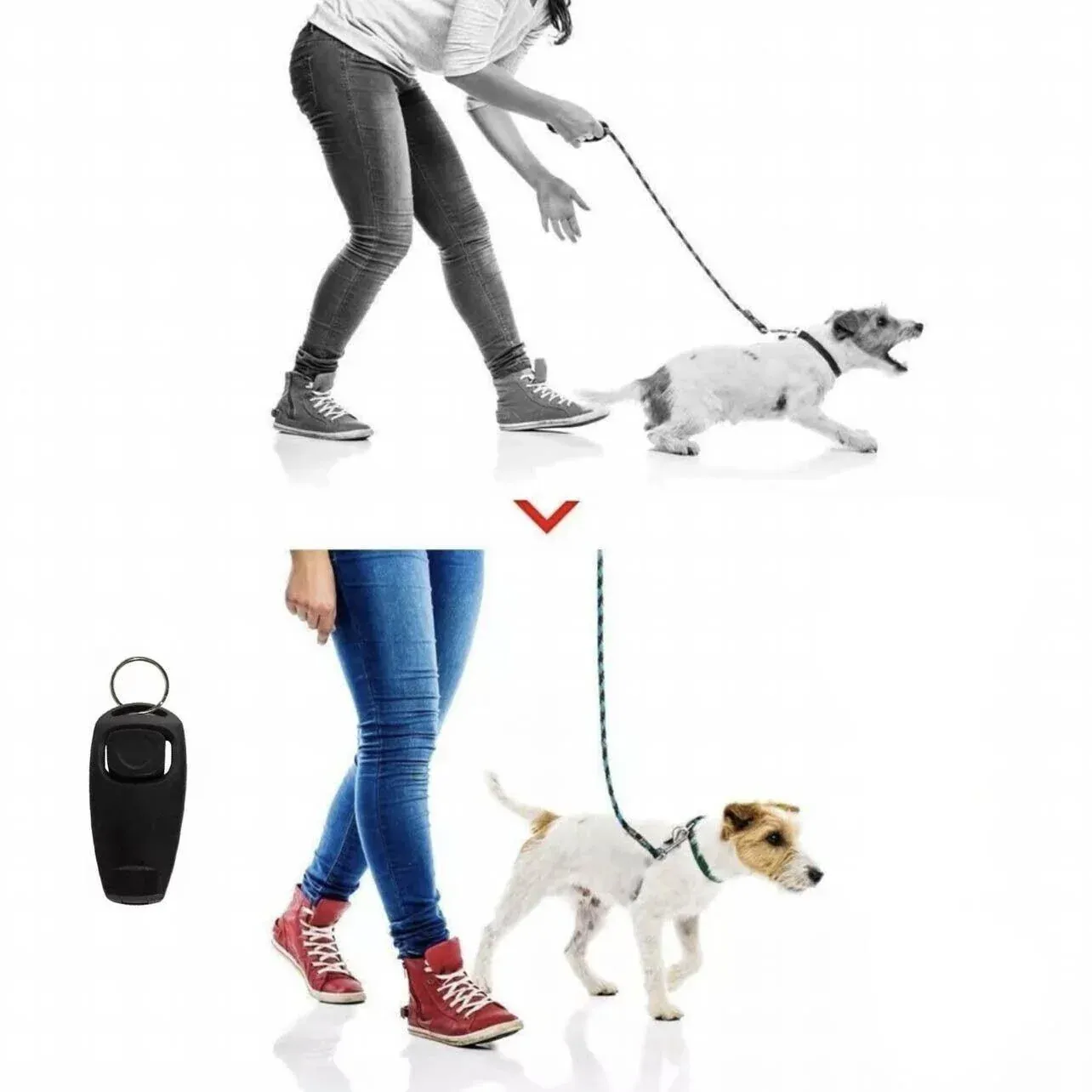 Dog Whistle and Clicker Set for Training Stop Barking Obedience Tool Combo - White image 12