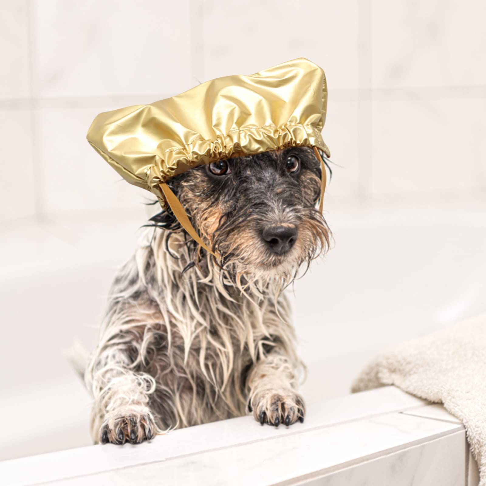 Large Dog Hats Dog Shower Fixed Taking Dogs Shower Bath S Cap for Pets Pet Shower Pet… image 4