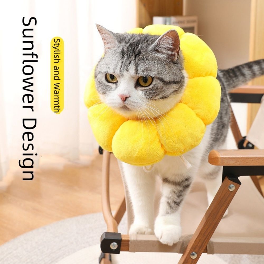 Cat Small Dog Recovery Collar – Adjustable Pet Cone Collar, L image 5
