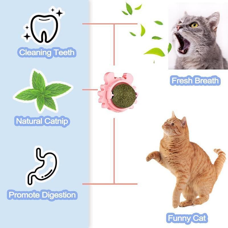 2PCS Rotatable Catnip Mint Ball Cat Treat Toys Licking Snack Cat Molar - Blue image 9