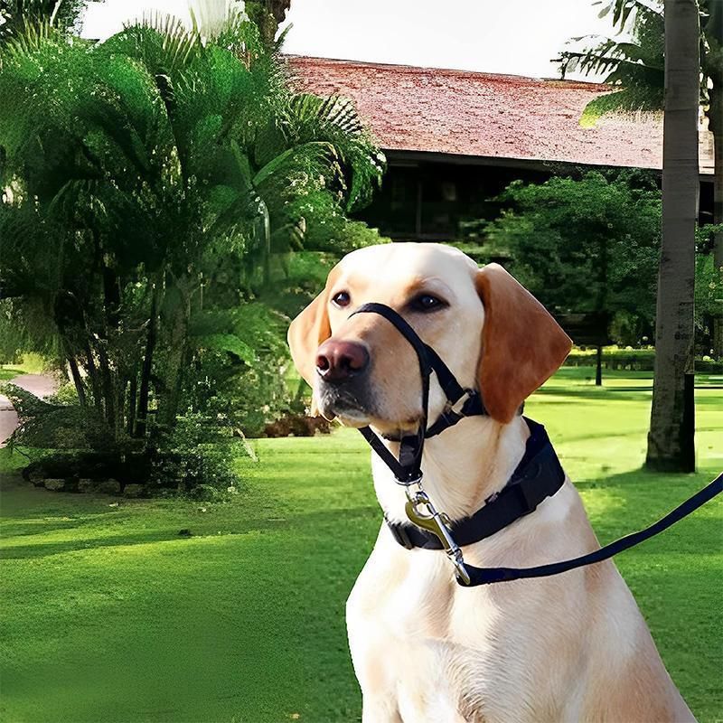 Pink Dog Training Head Collar Halter Stop Pulling Training Tool Harness Strap Leader… image 9