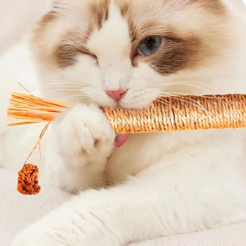 Natural Dental Sticks Sticks for Cats image 3