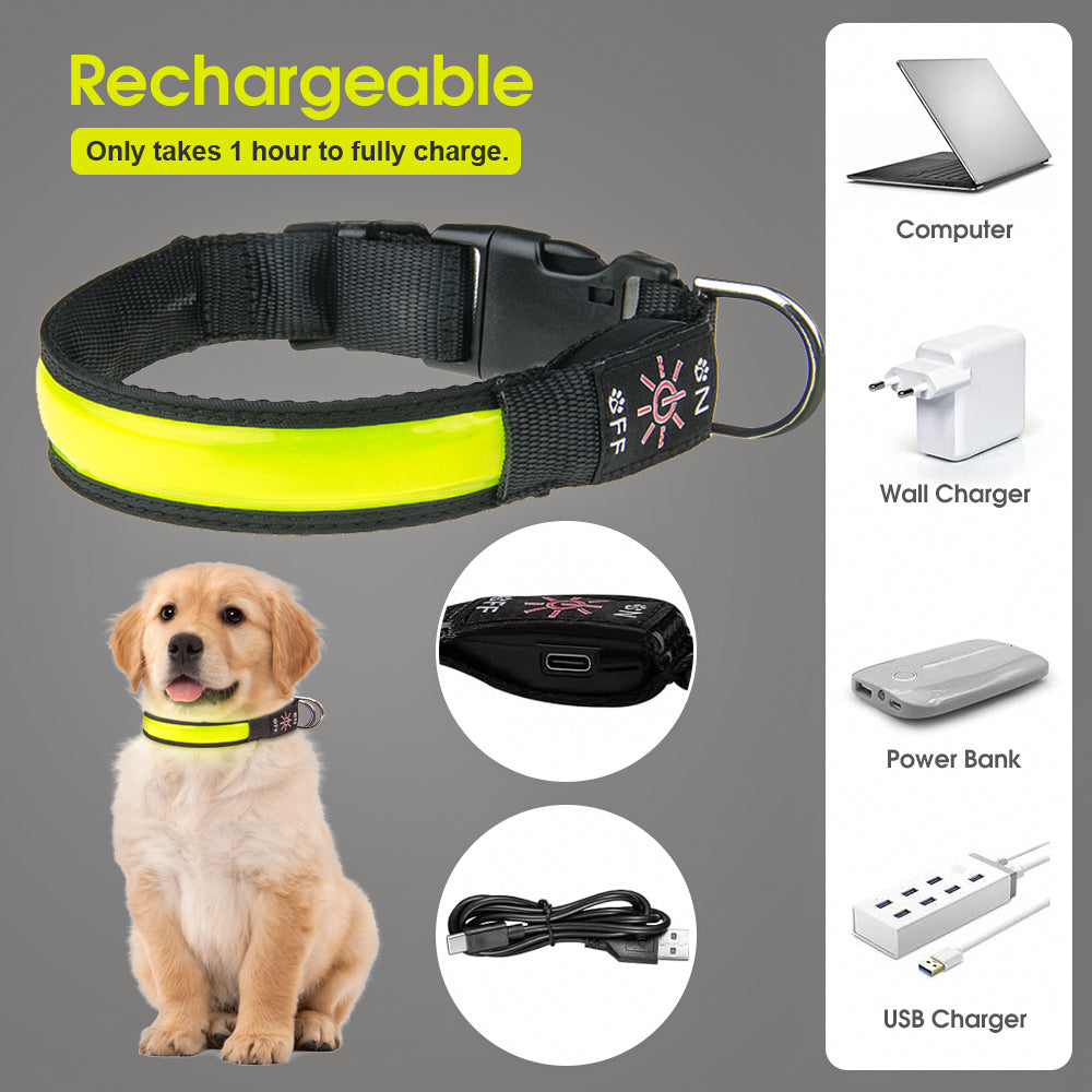 50cm Rechargeable Light-up LED Pet Collar image 3