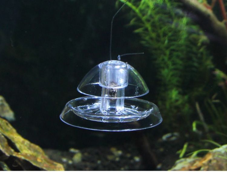 Snail Trap Plastic Aquarium Snail Trap for Fish Tank Clear Snail Catcher Fish Plants… image 2