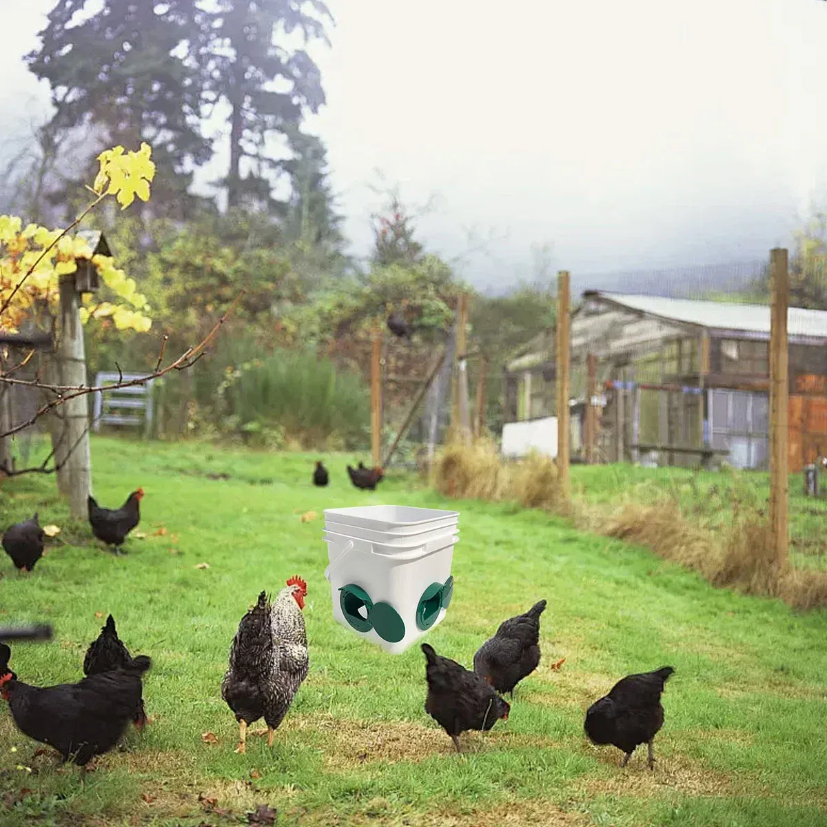 5PCS Automatic Chicken Feeder Poultry Feeding Cup Trough Drinker Set Hen Coop image 12