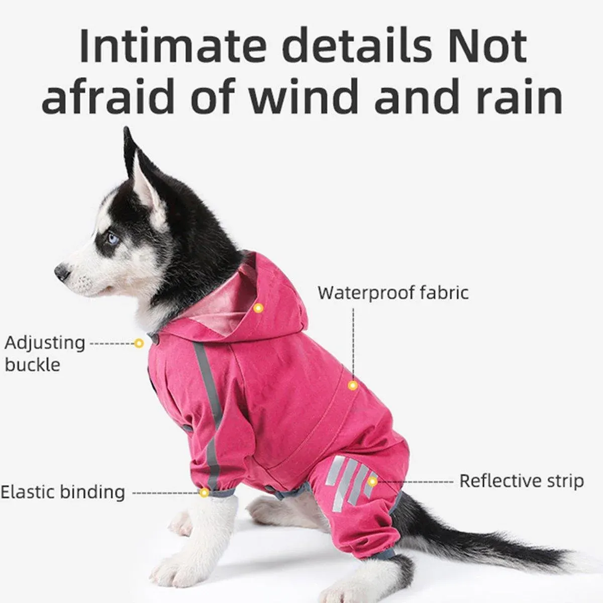 Waterproof Four Corner Pet Raincoats In Large Medium And Small Sizes Are Suitable…, S image 6