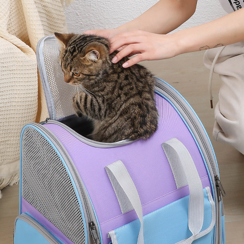 Green Portable Pet Carrier Backpack - Spacious image 4