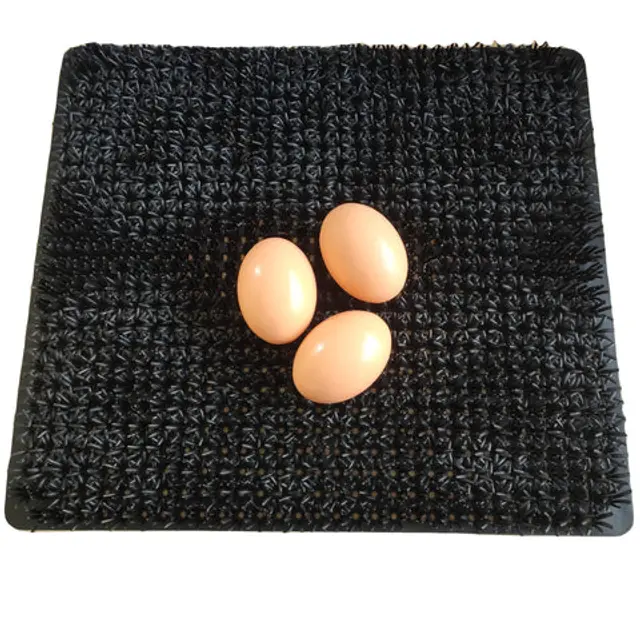 Cheeky Chooka Nesting Box Egg Mat
