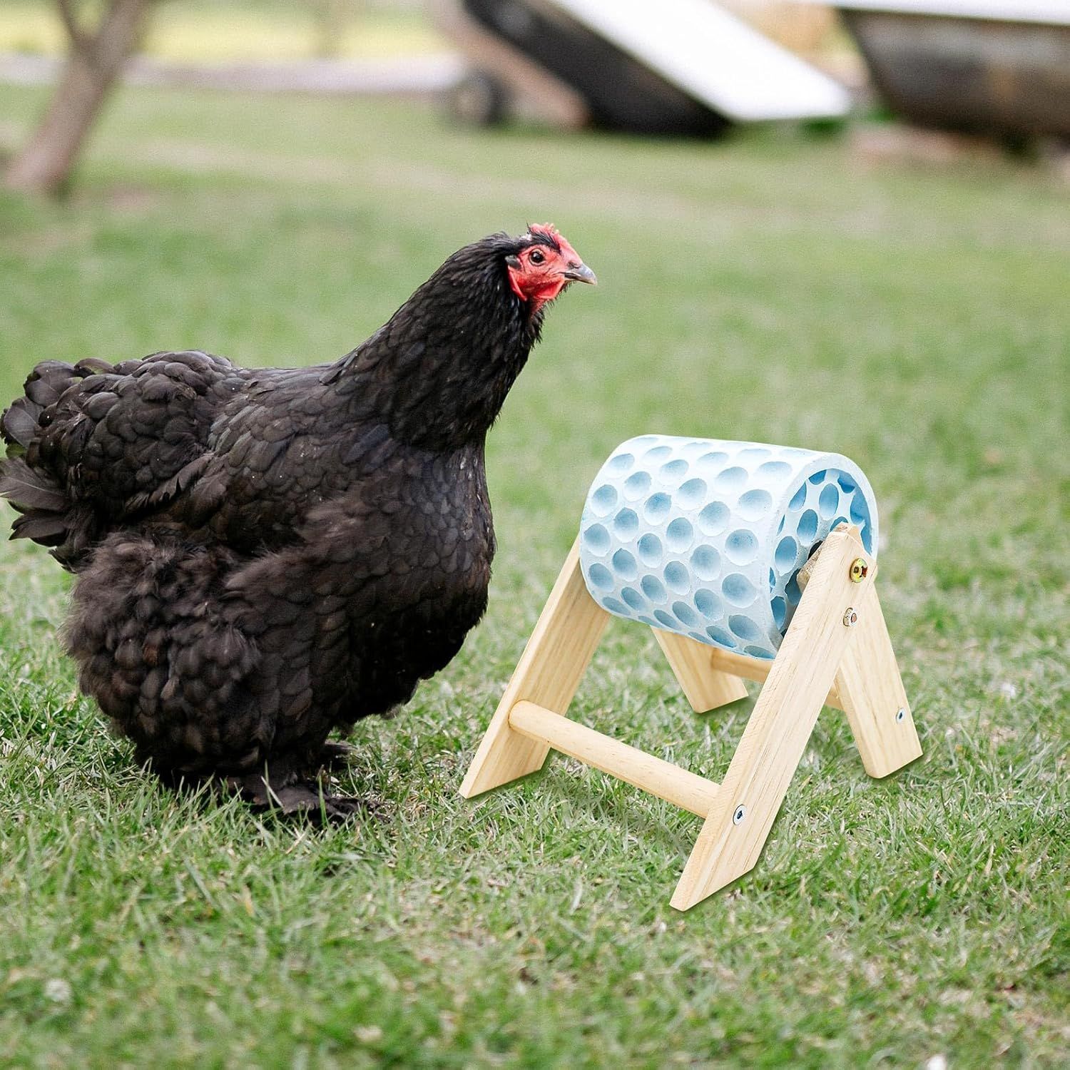 Chicken Coop Accessories, Blue image 5