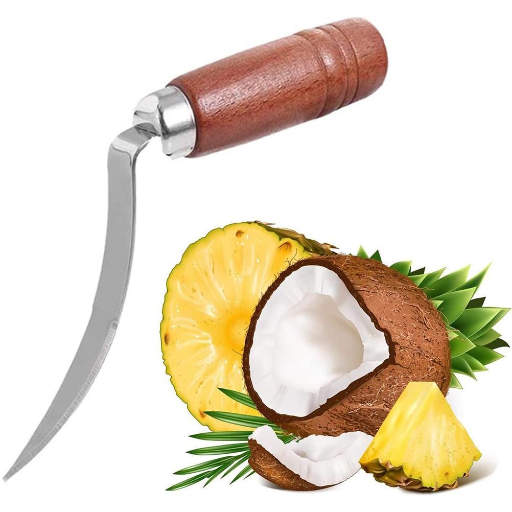 Coconut Can Opener Coconut Scraper with Wood Handle Stainless Steel Coconut Scraper… image 6