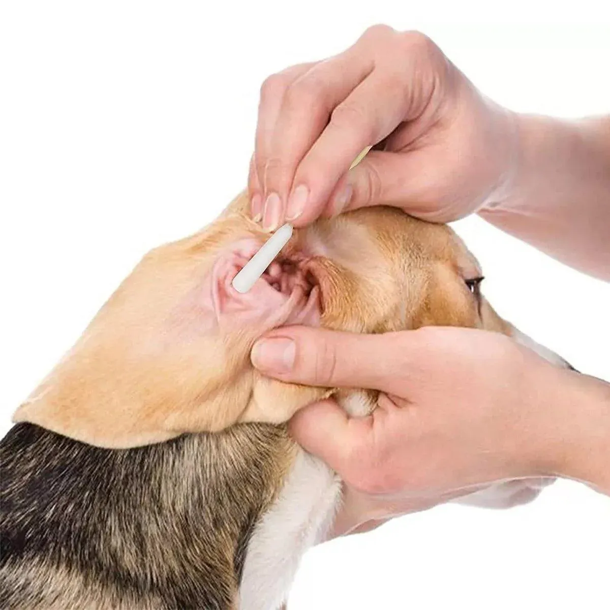 200PCS Pet Ear Eye Nose Cleaning Cotton Swabs Disposable Dog Cat Grooming Tools image 10