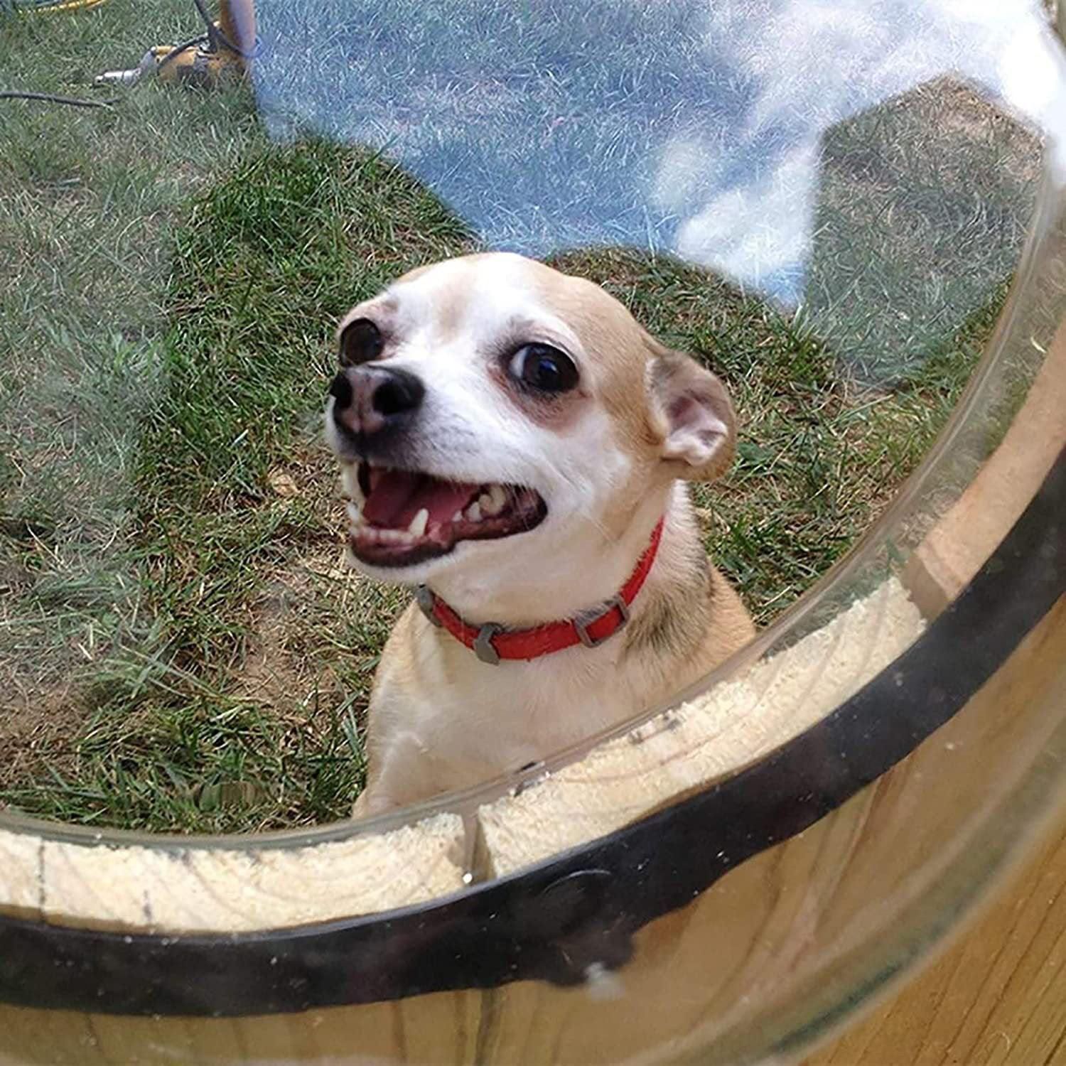 Dog Porthole Window Round Transparent for Fence Pet Peek Look Out Durable Dome image 11