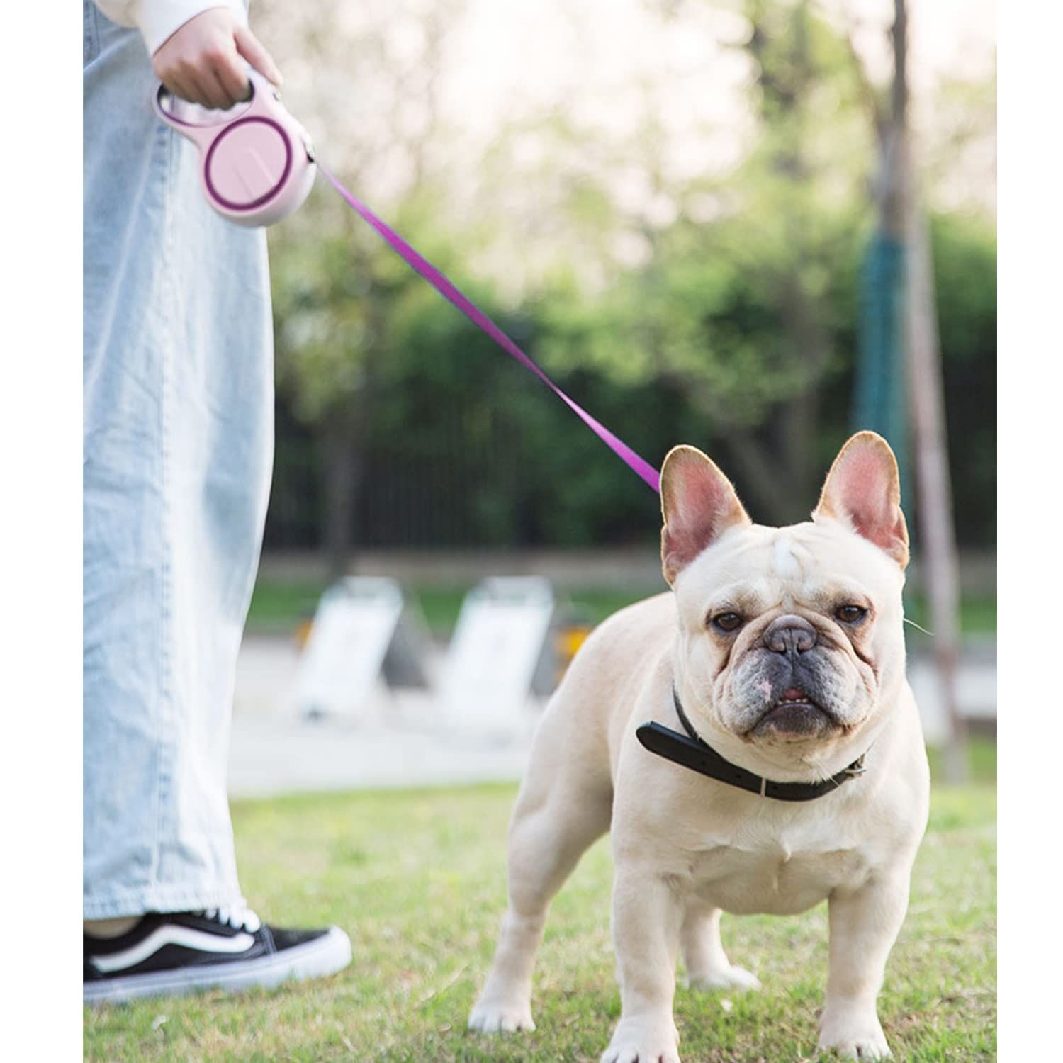 Retractable Dog Leash, Red image 2