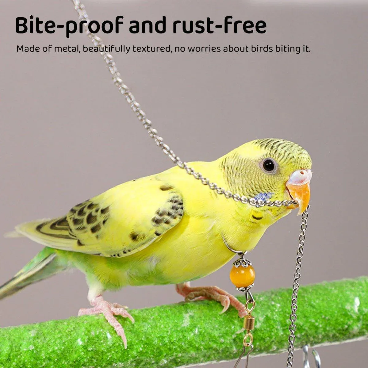 Parrot Neck Collar Stainless Steel Bird Chain Training Adjustable Bird Leash… image 7