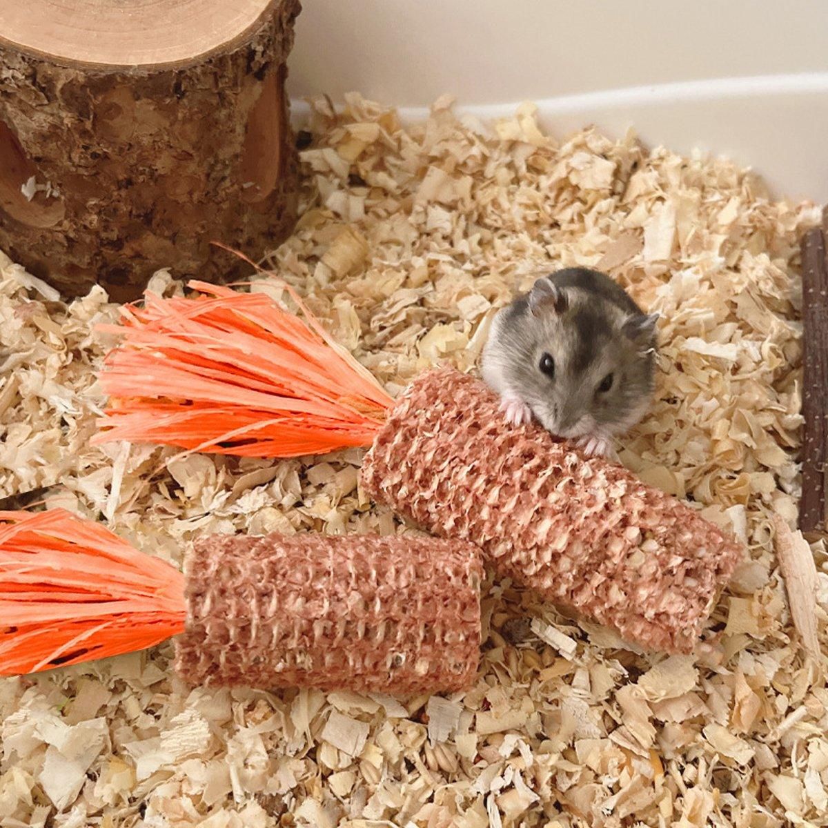 10pcs Pet Chewing Radish Hamster Toys Corn Cob Teething Sticks for Small Animals image 8