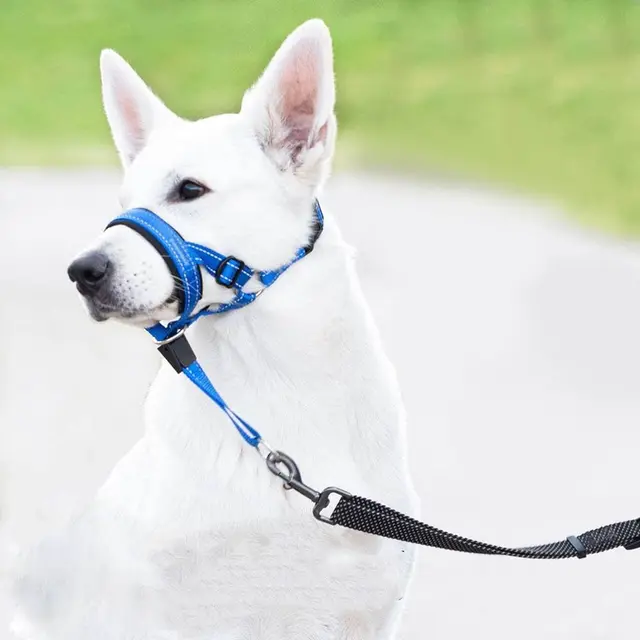 No Pull Dog Head Collar - Soft Padded Head Halter with Safety Link & Adjustable Muzzle…