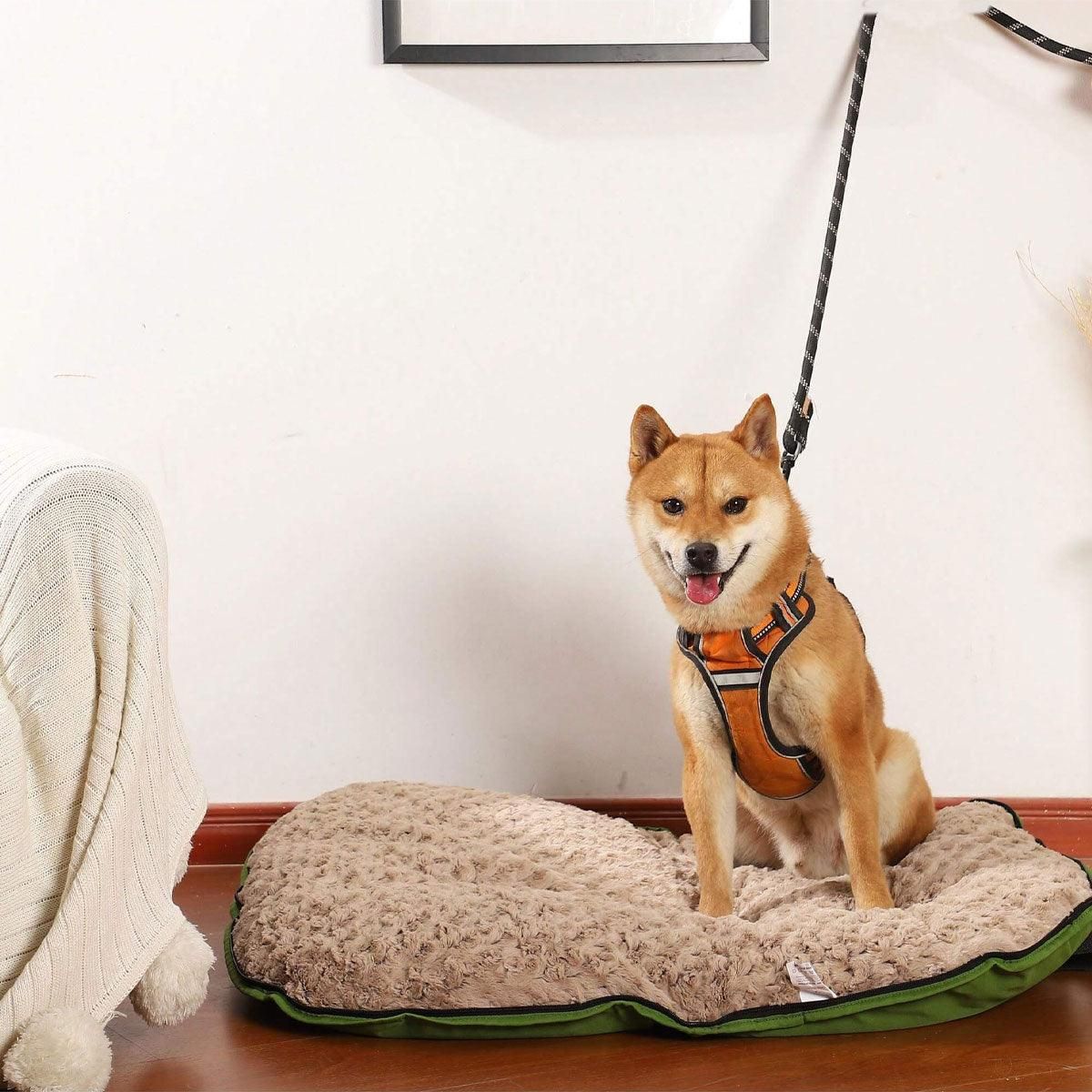 Portable Folding Pet Kennel Zippered Outdoor Dog Bed Travel Mat Waterproof - Yellow image 12