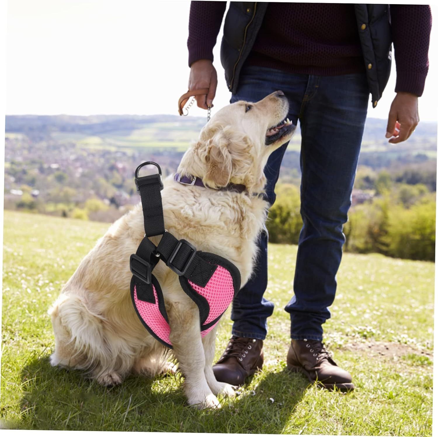 Pet Dog Traction Puppy Strap Pet Strap Walking Dog No-Pull Dog Vest Nylon Dog Pet… image 4