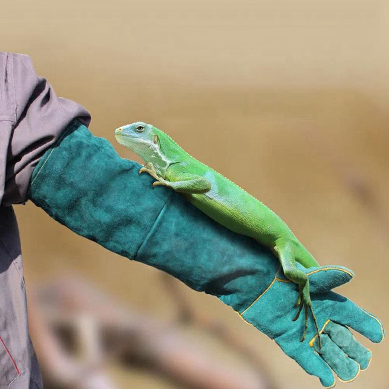 Anti-Bite Work Gloves image 5