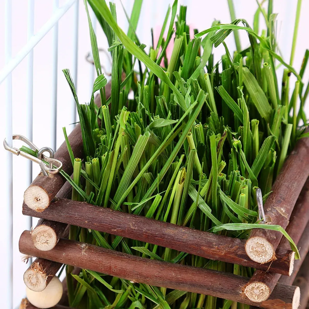 Rabbit Hay Feeder Rack Apple Wood Grass Holder Natural Food Rack Small Pet image 8