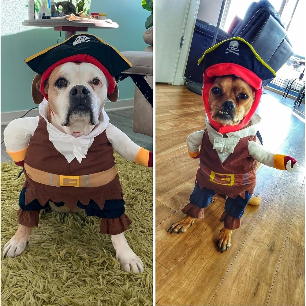 Funny Dog Costume Pirates of The Caribbean Style Cat Costumes Halloween Dog…, M image 5