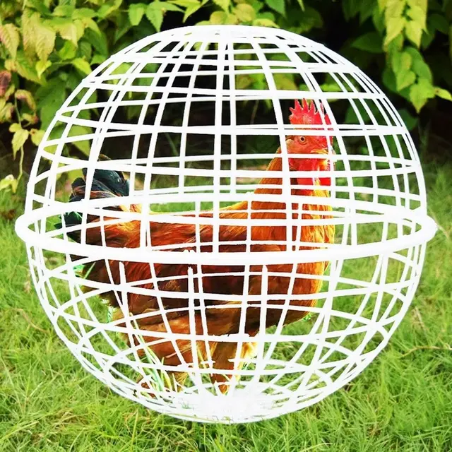 Spherical Chicken Cage Portable Rolling Coop for Range Hens