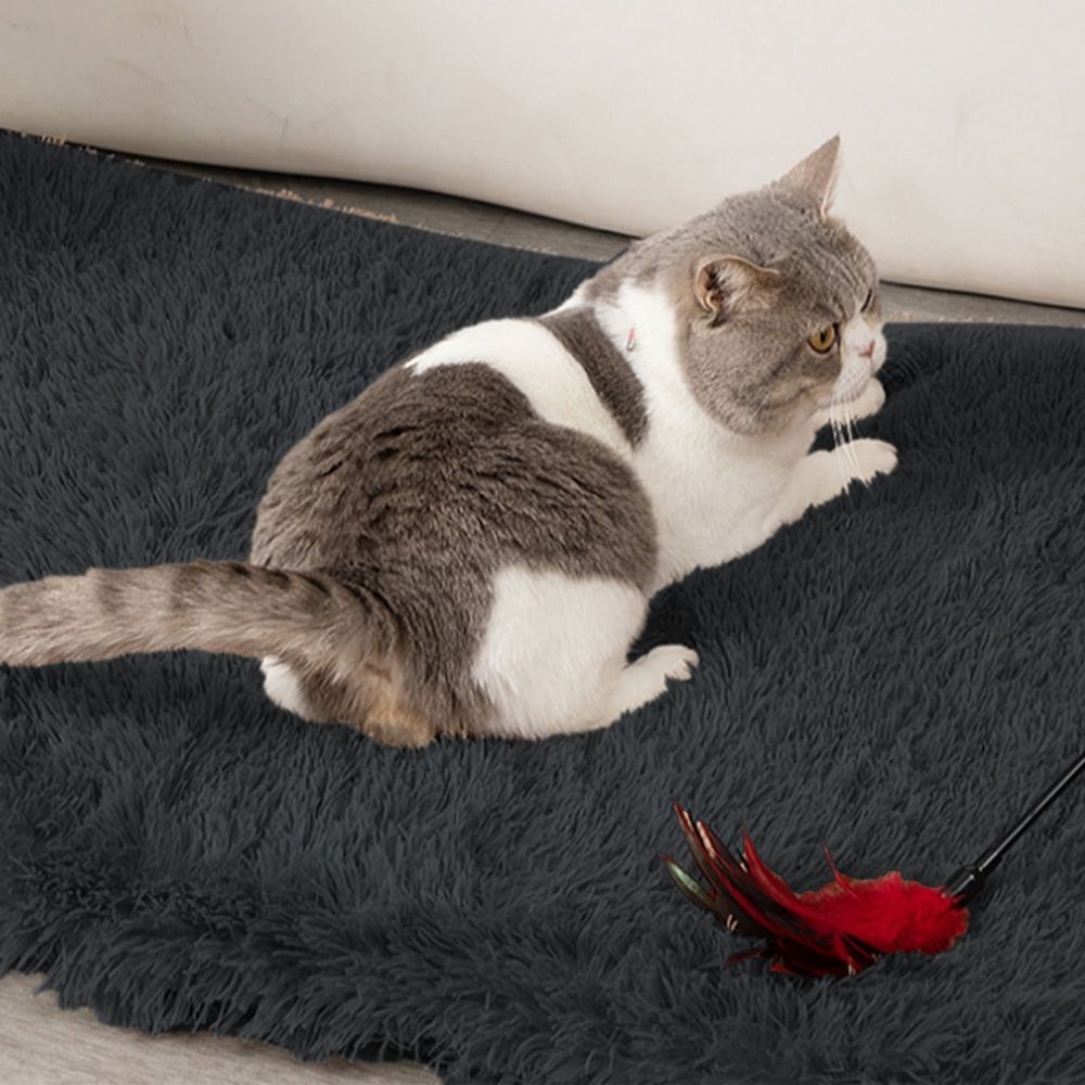 Khaki Warm Plush Pet Cushion Cat Bed Dog Mat Cozy Kennel Pad Soft House Liner Velvet… image 3