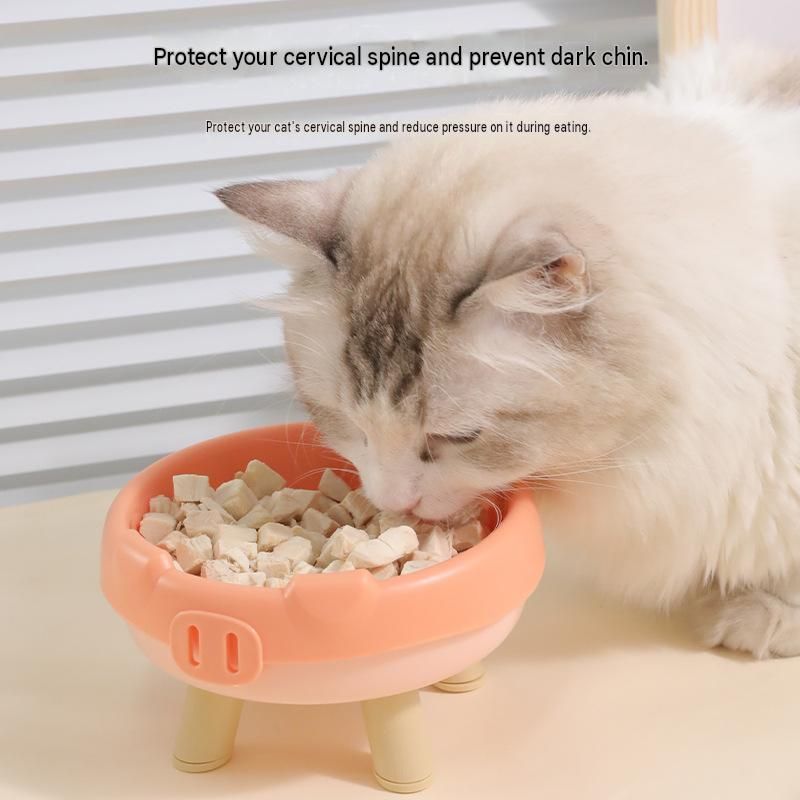 2 Pack Pink Elevated Pet Food Bowl - Cute Pig Design Raised Feeder for Cats and Small… image 5