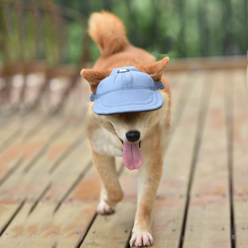 Size S Light Blue Adjustable Pet Baseball Cap for Cats and Dogs - Cute Sun Protection… image 3
