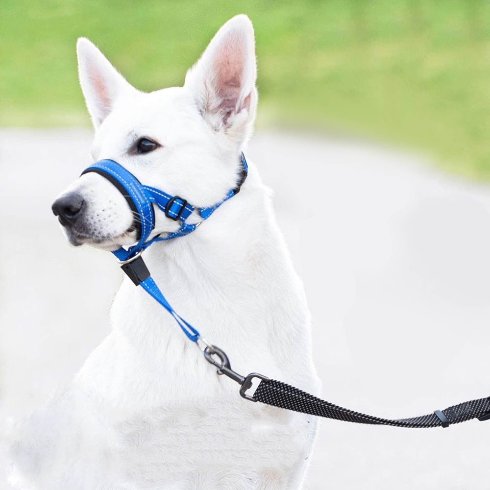 No Pull Dog Head Collar - Soft Padded Head Halter with Safety Link & Adjustable Muzzle…