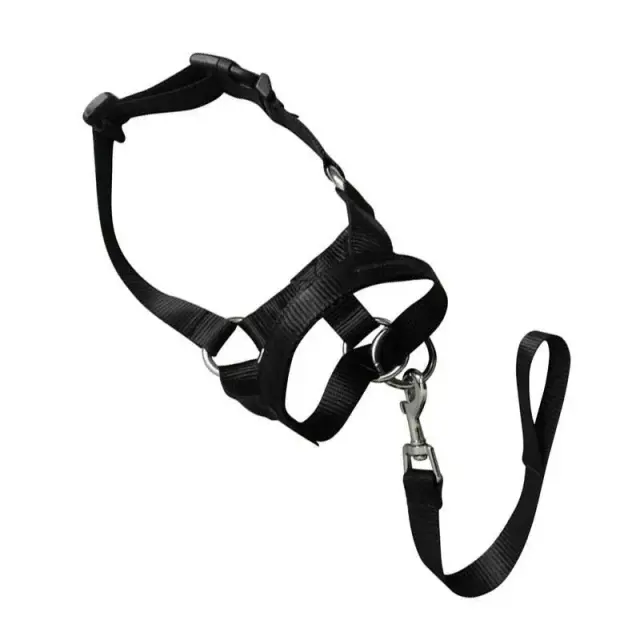 Black Dog Training Head Collar Halter Stop Pulling Training Tool Harness Strap Leader…