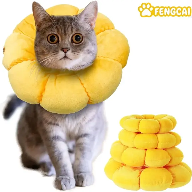Cat Small Dog Recovery Collar – Adjustable Pet Cone Collar, L