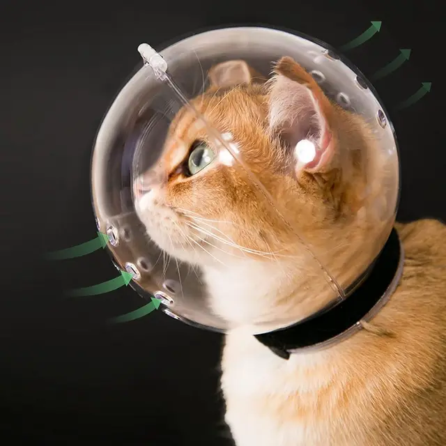 Cat muzzle - With breathable hood - Adjustable astronaut helmet for kittens…, L